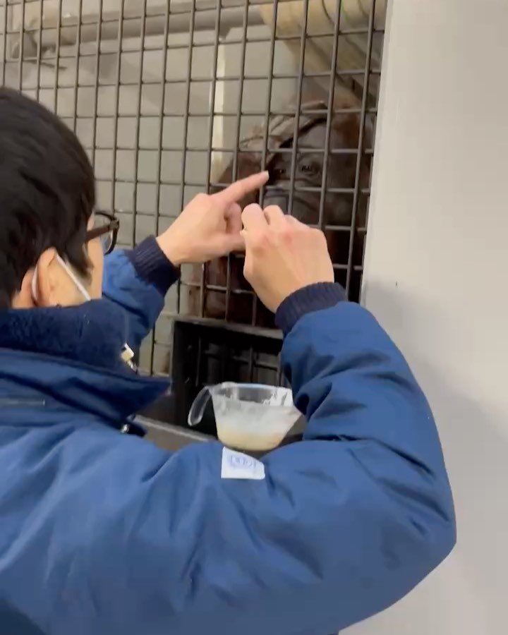 福岡市動物園の画像