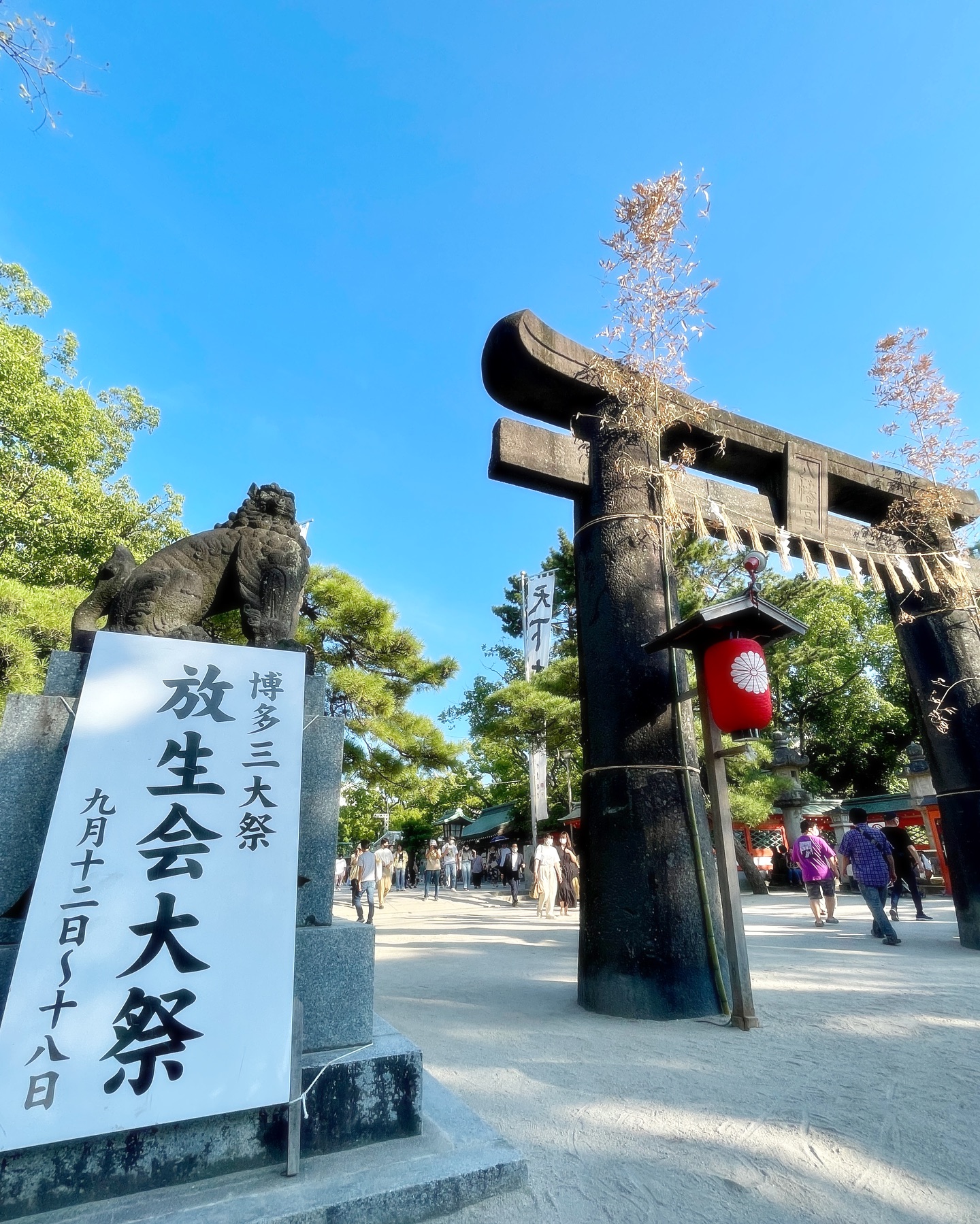 【公式】Fukuoka 360°の画像