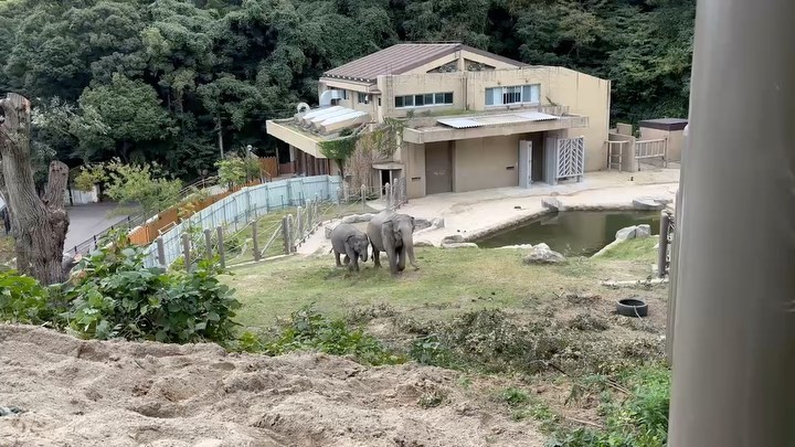 福岡市動物園の画像