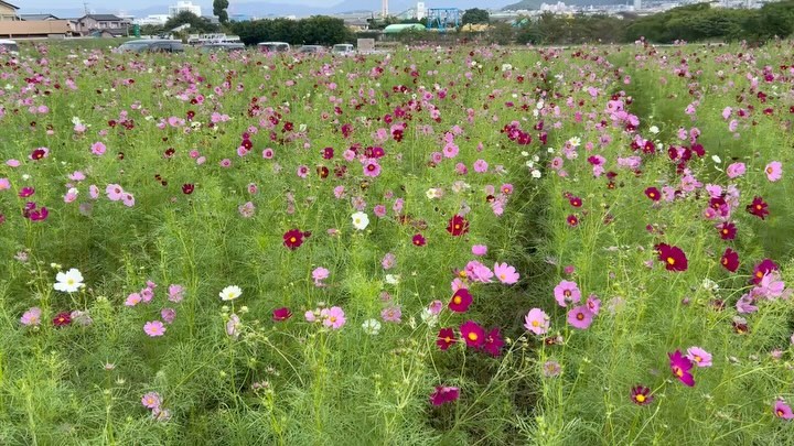 【公式】福岡市西区の画像