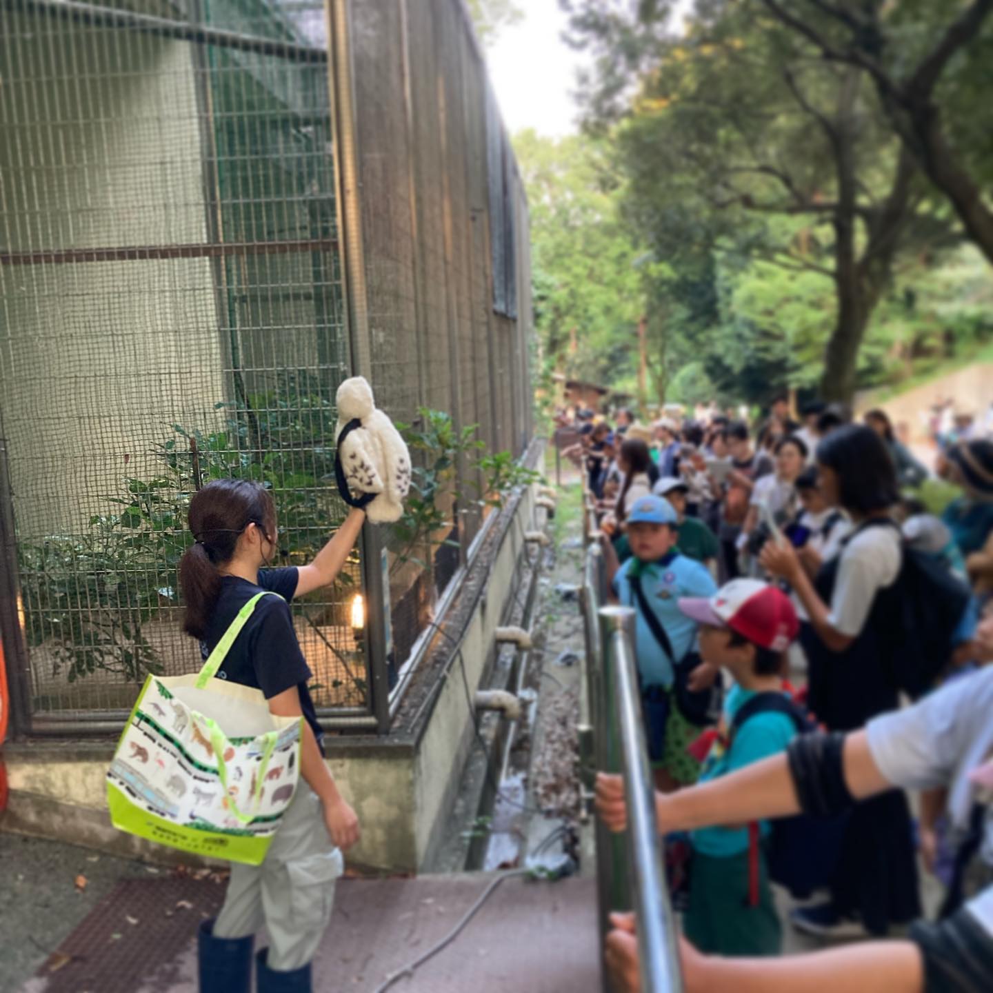 福岡市動物園の画像