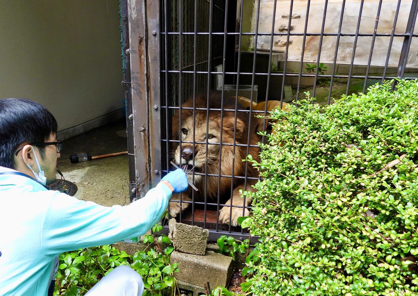 福岡市動物園の画像