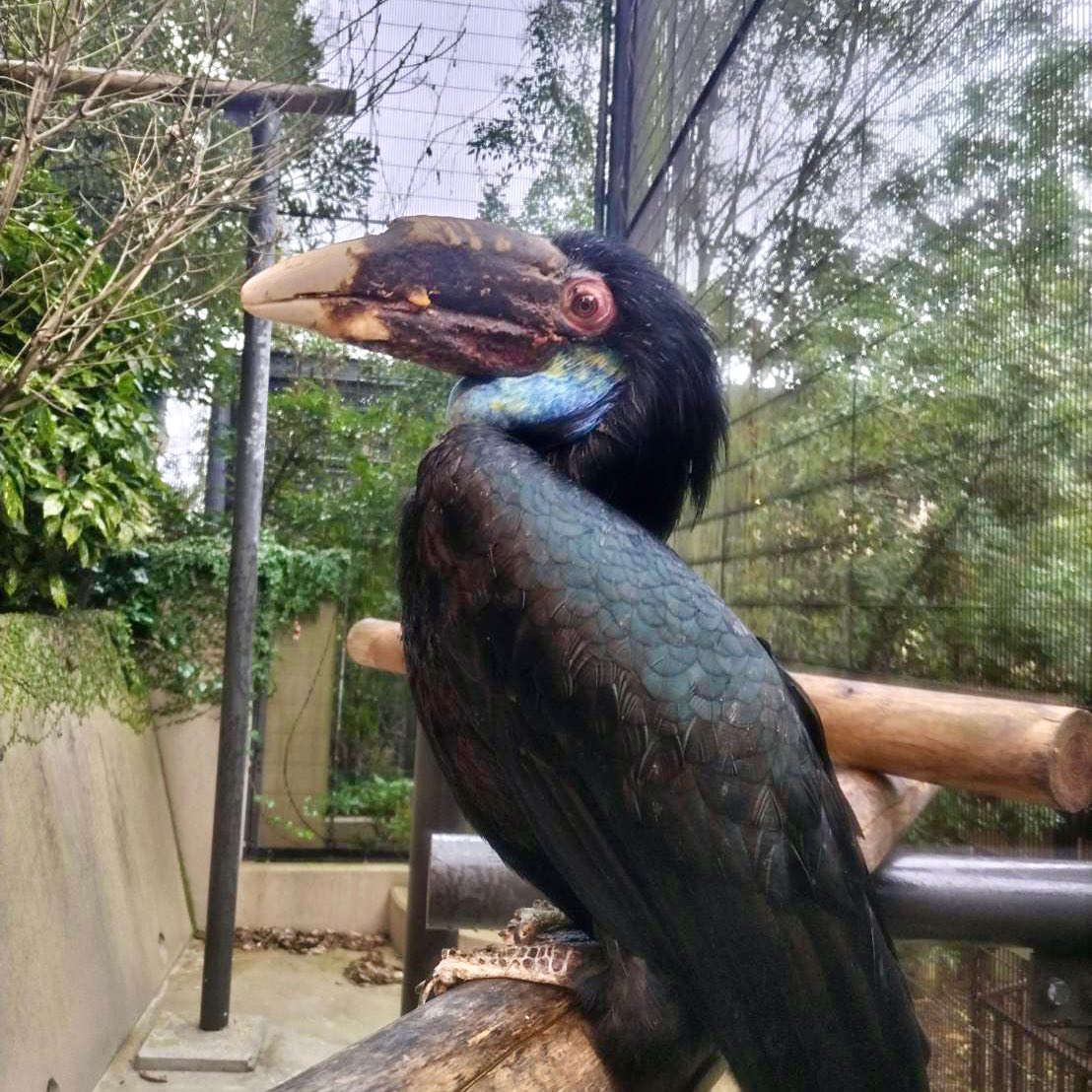 福岡市動物園の画像