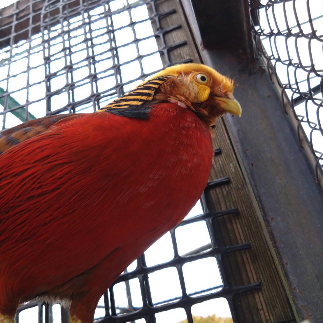 福岡市動物園の画像