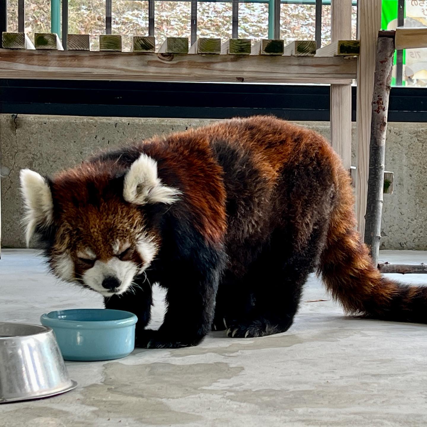 福岡市動物園の画像