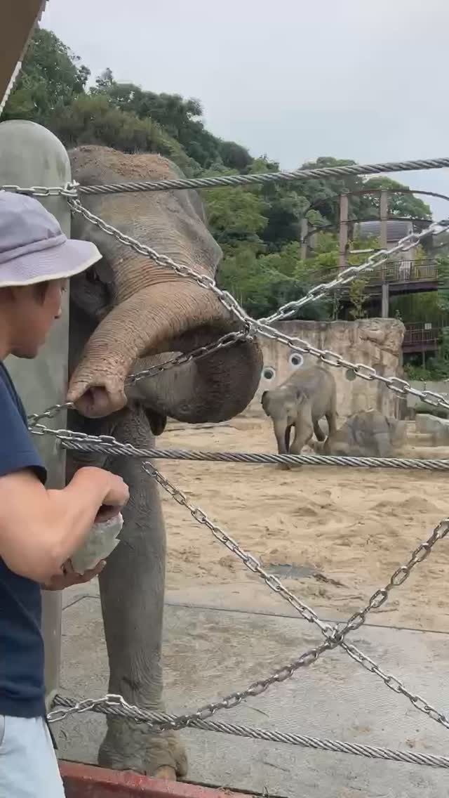 福岡市動物園の画像