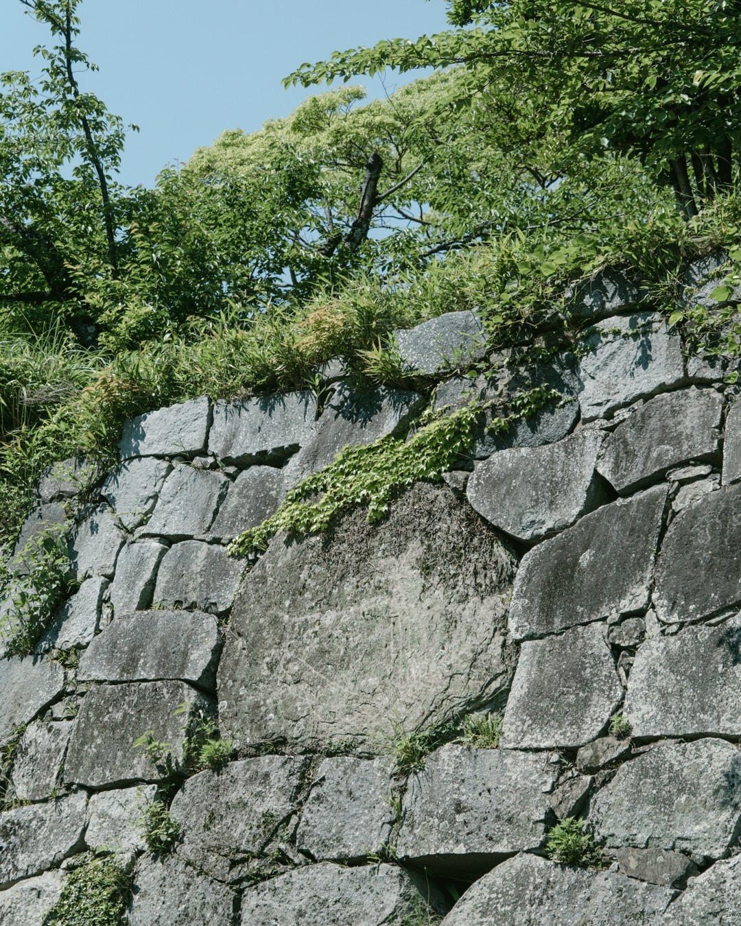 福岡城 fukuoka_castleの画像