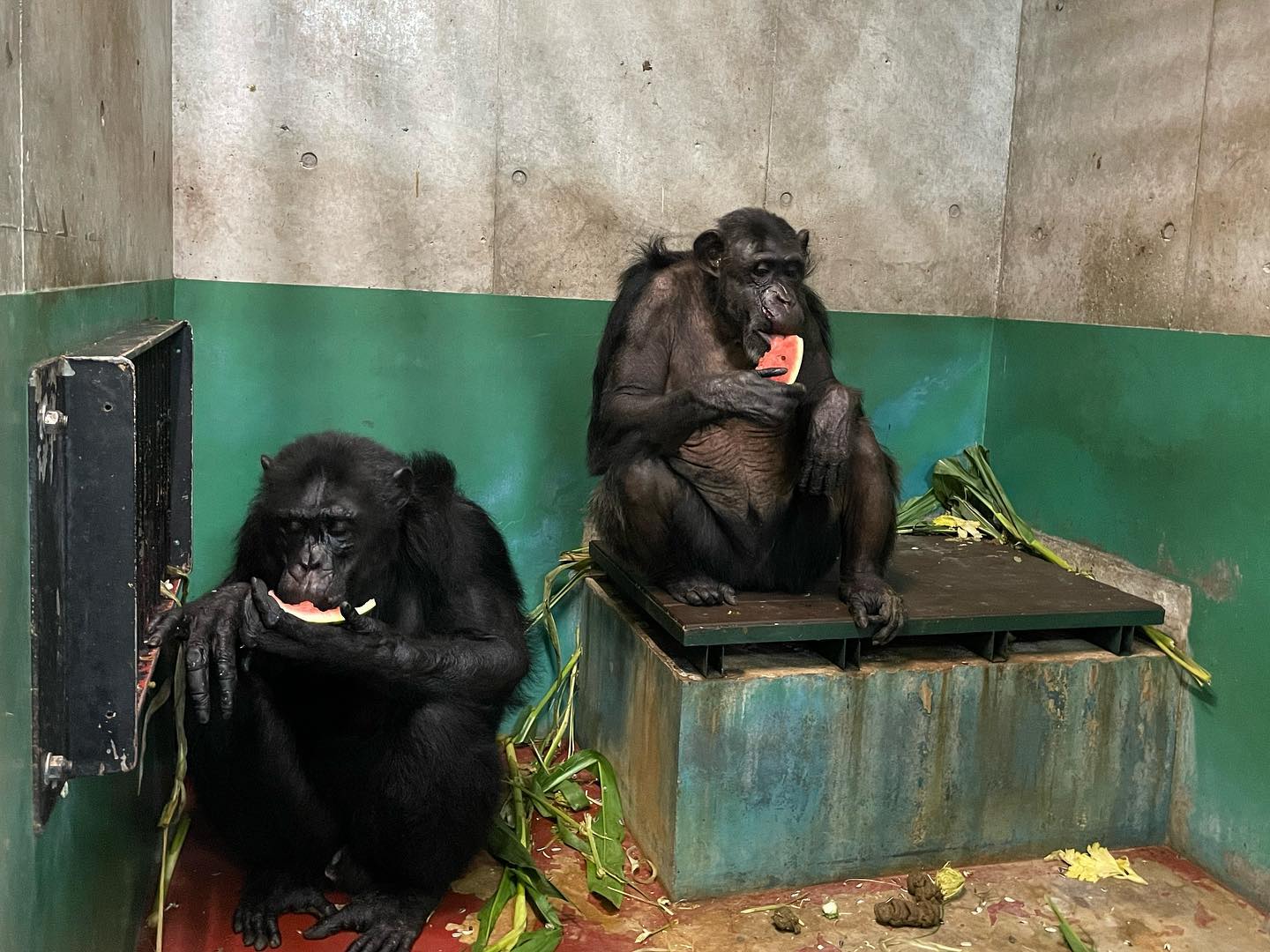 福岡市動物園の画像